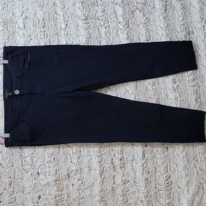 Banana Republic Sloan Pants Womens Size 14 Navy Blue  Career Office Workwear
